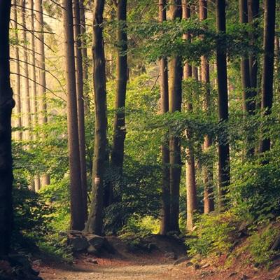 49图库资料免费大全资料澳门手机app下载