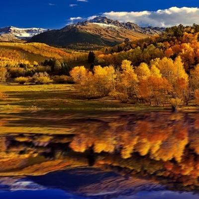 万博·体育手机app下载