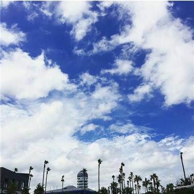 半岛官方APP入口