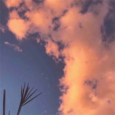 半岛官方APP入口