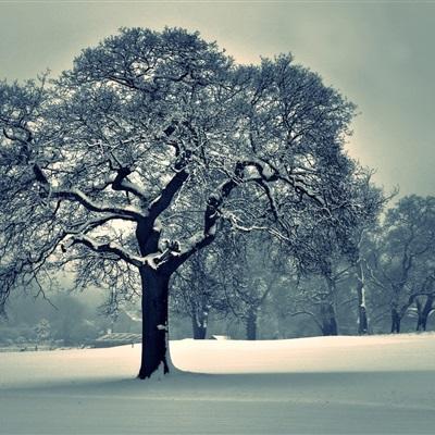 澳门新葡萄新京8883下载手机版