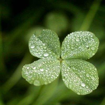 开全站登录appapp下载