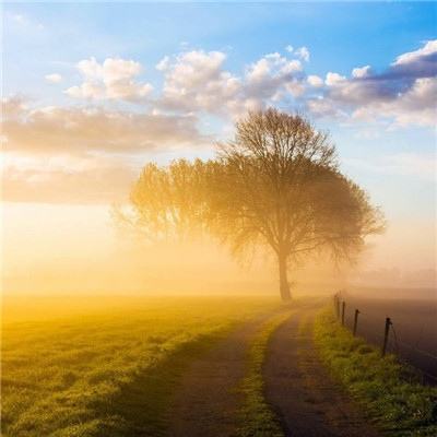 AOA体育手机app下载截图